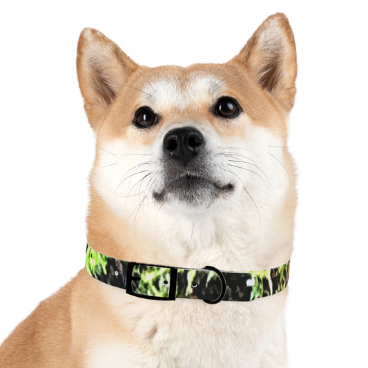 Dog Collar Odor & Stain Resistant