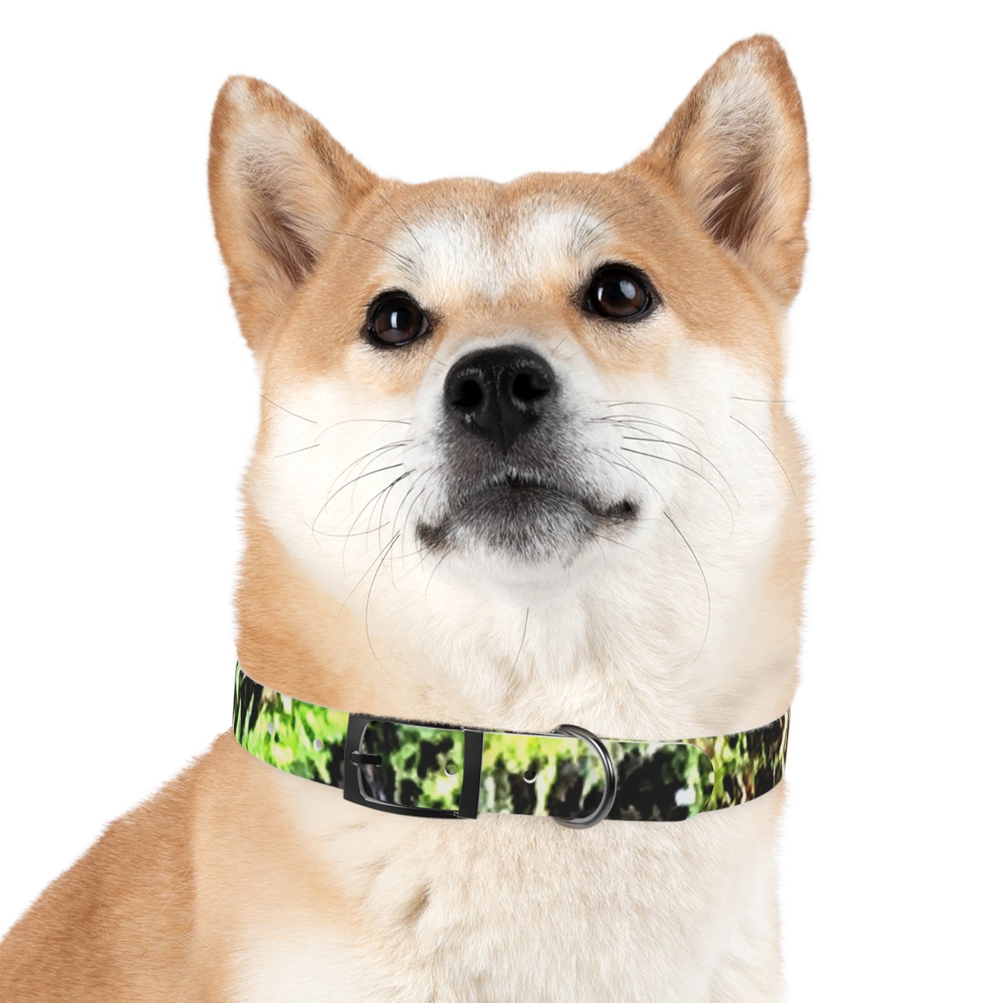 Dog Collar Odor & Stain Resistant