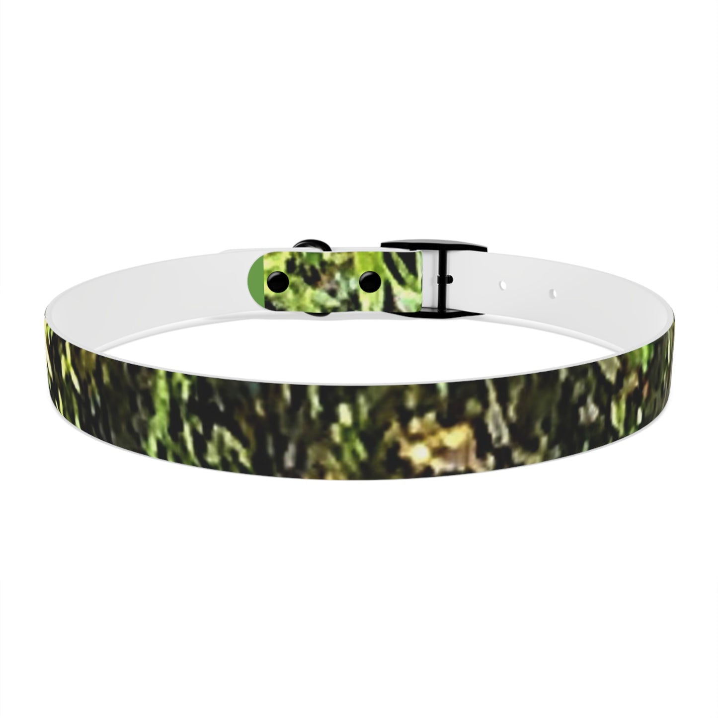 Dog Collar Odor & Stain Resistant