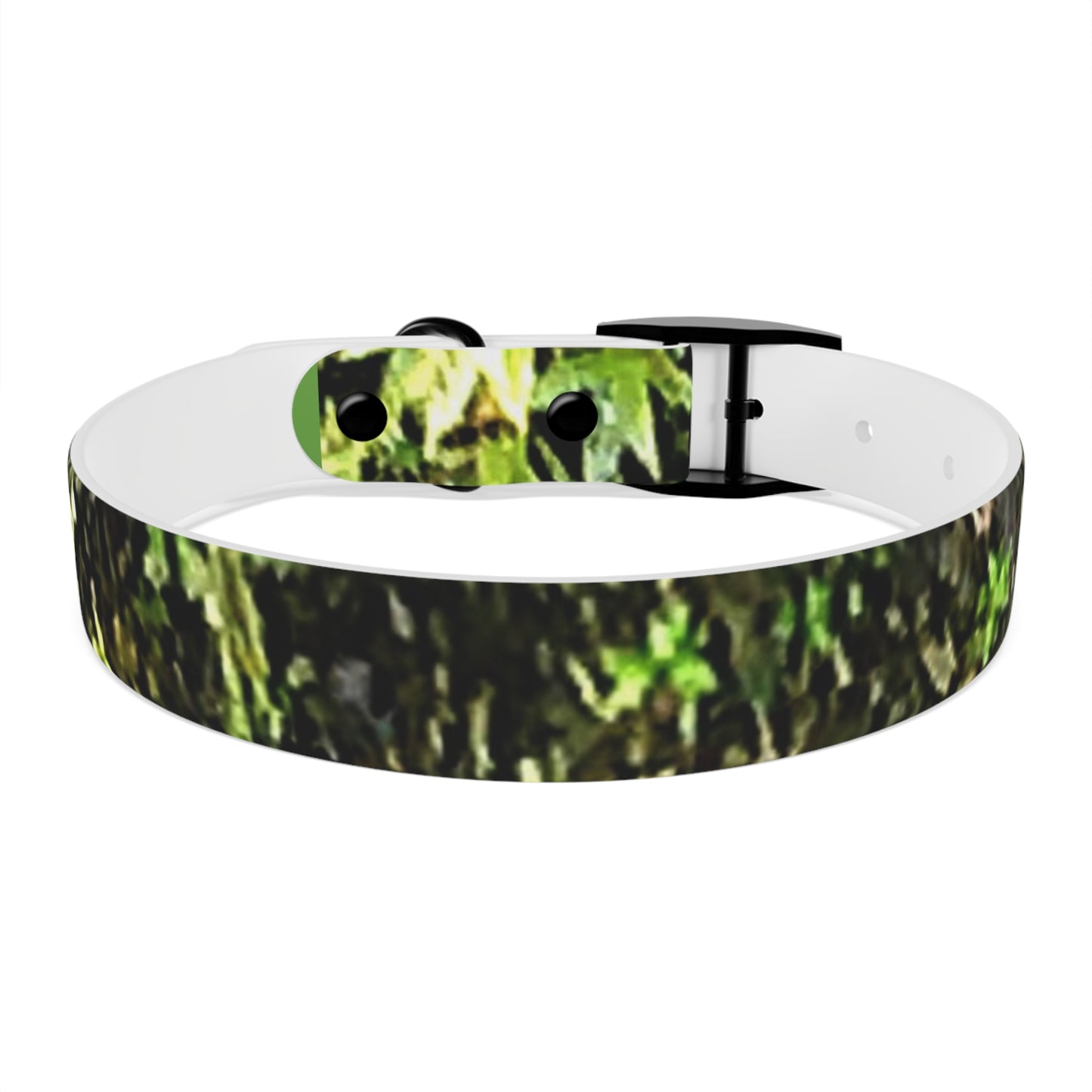 Dog Collar Odor & Stain Resistant