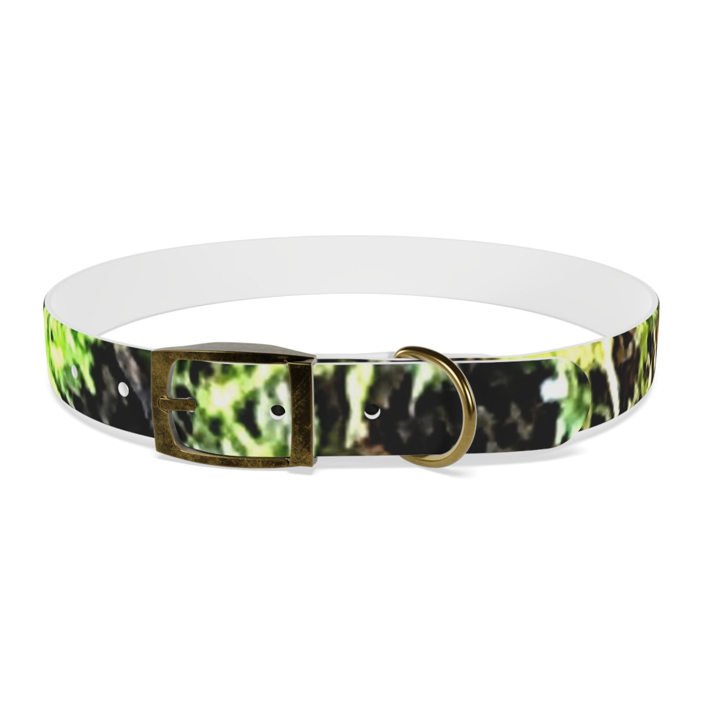 Dog Collar Odor & Stain Resistant