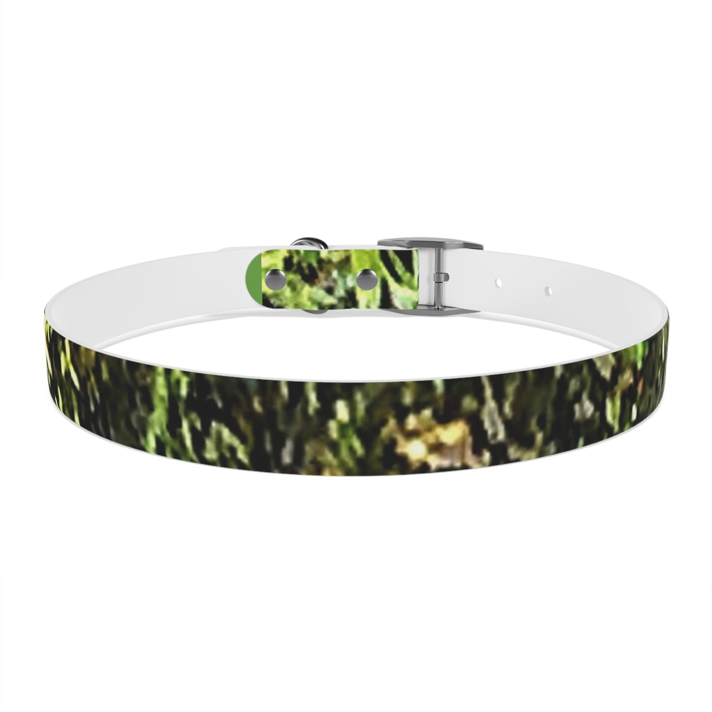 Dog Collar Odor & Stain Resistant