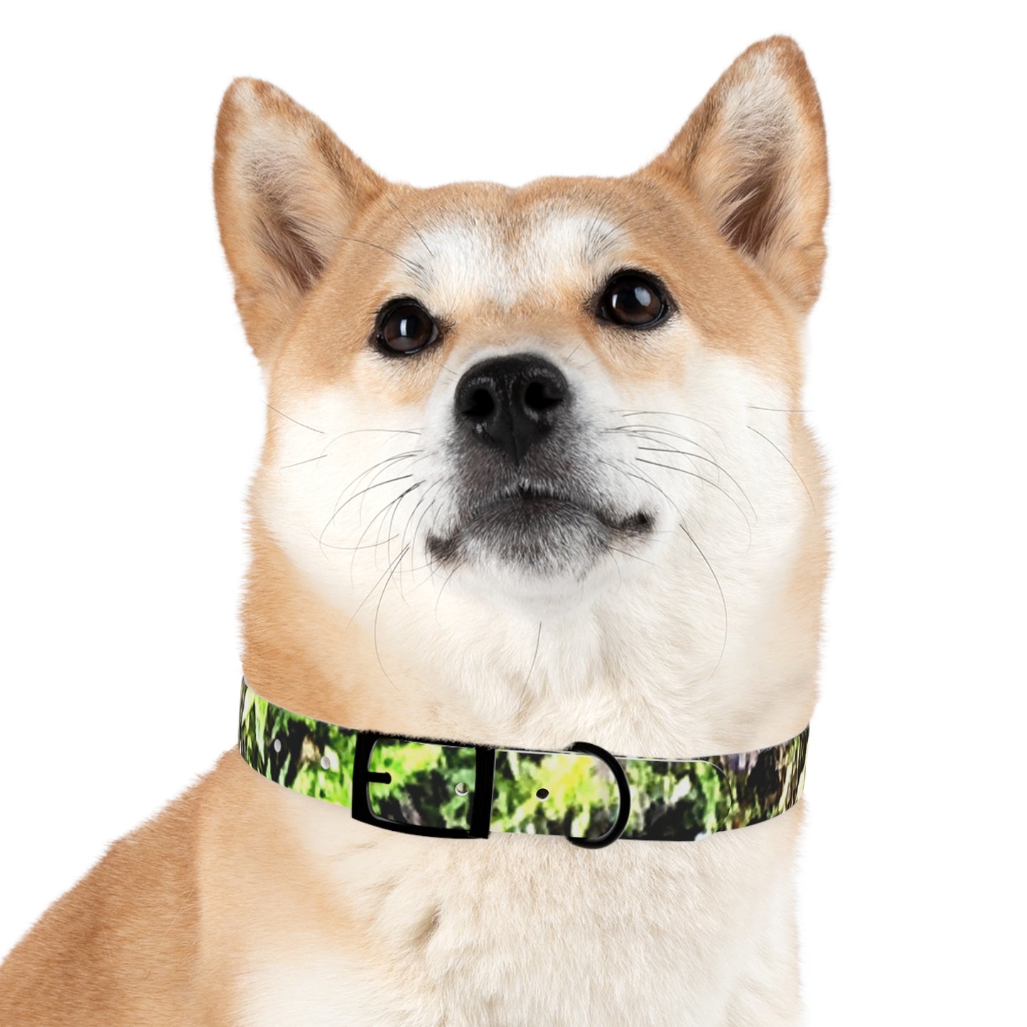 Dog Collar Odor & Stain Resistant