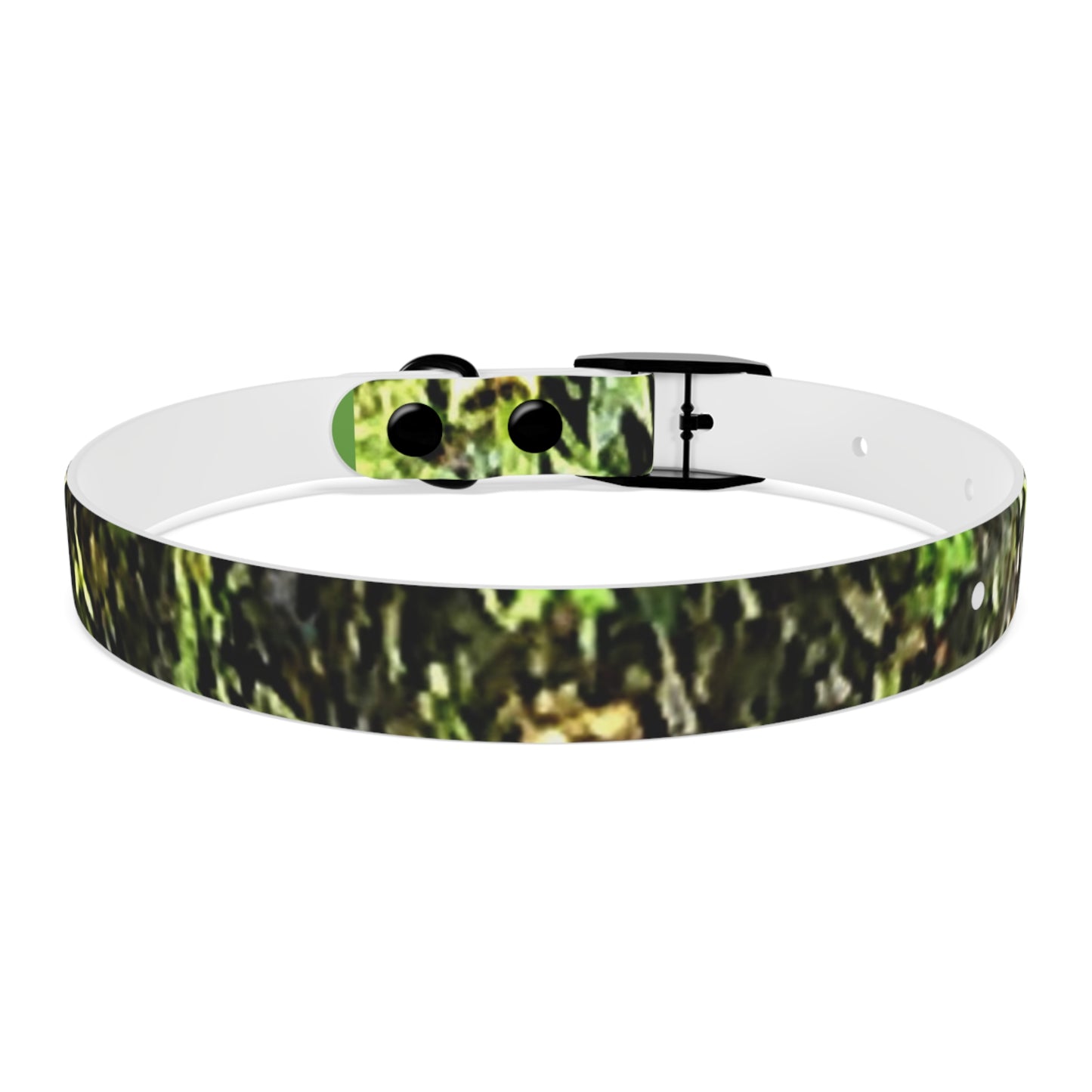 Dog Collar Odor & Stain Resistant