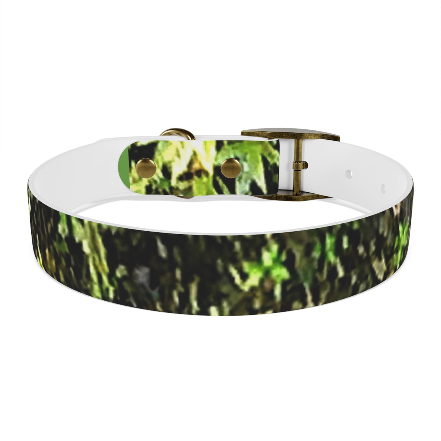 Dog Collar Odor & Stain Resistant