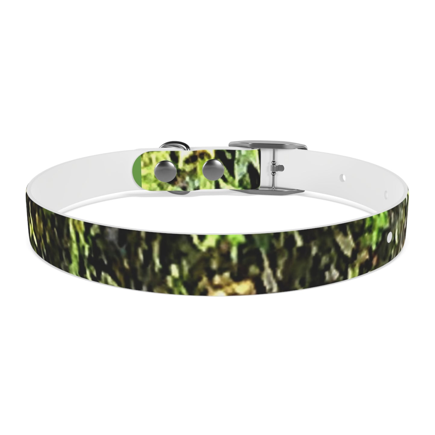 Dog Collar Odor & Stain Resistant